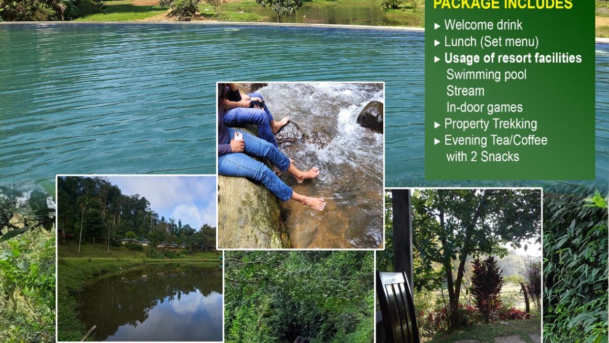 Day Out Packages in Coorg