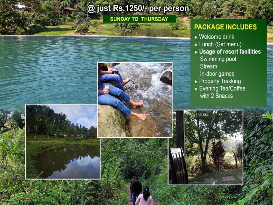 Day Out Packages in Coorg